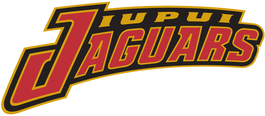 IUPUI Jaguars 2002-Pres Wordmark Logo DIY iron on transfer (heat transfer)